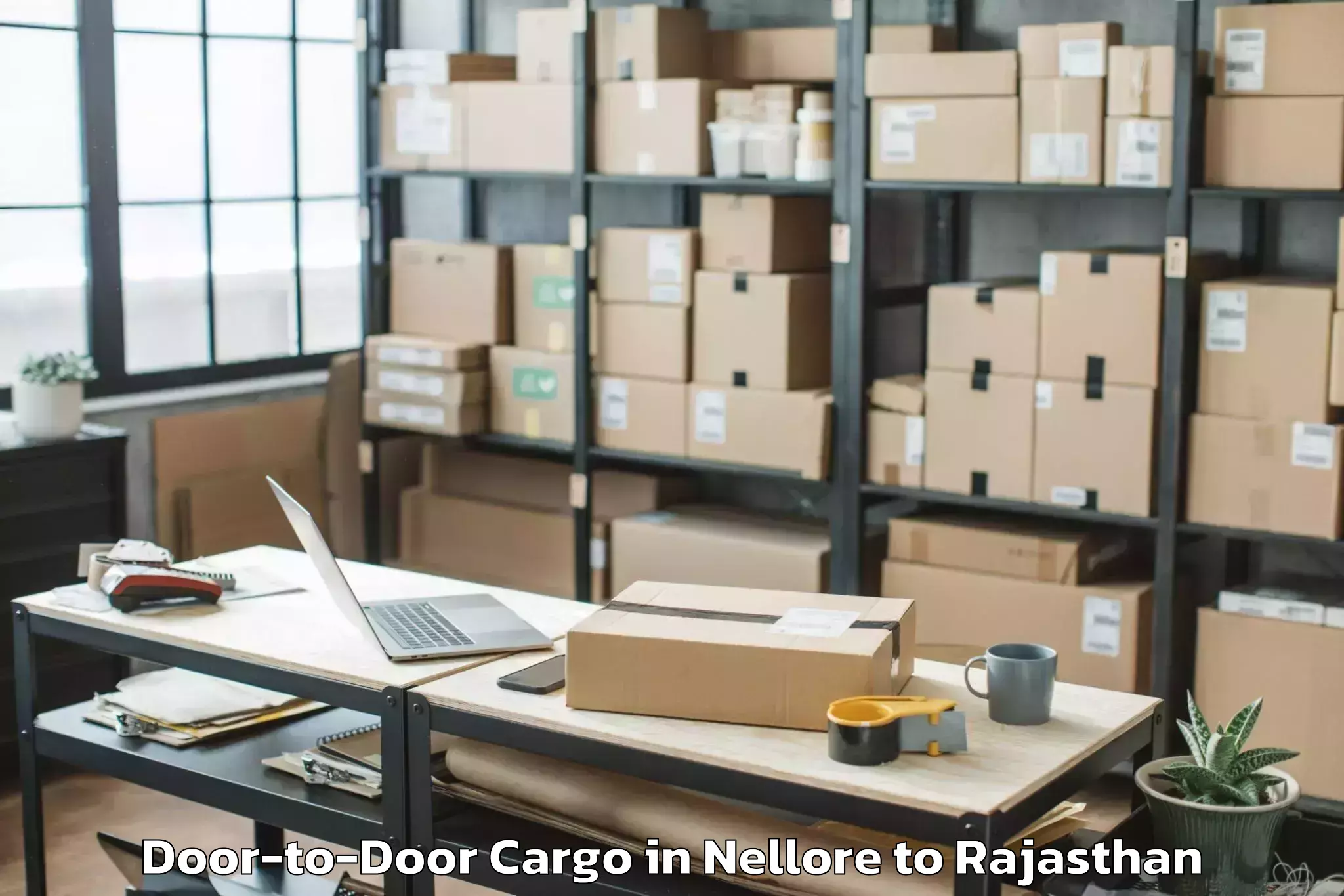 Top Nellore to Mewar University Chittorgarh Door To Door Cargo Available